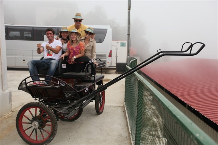 Dairy Khoury Farm Gates Opening